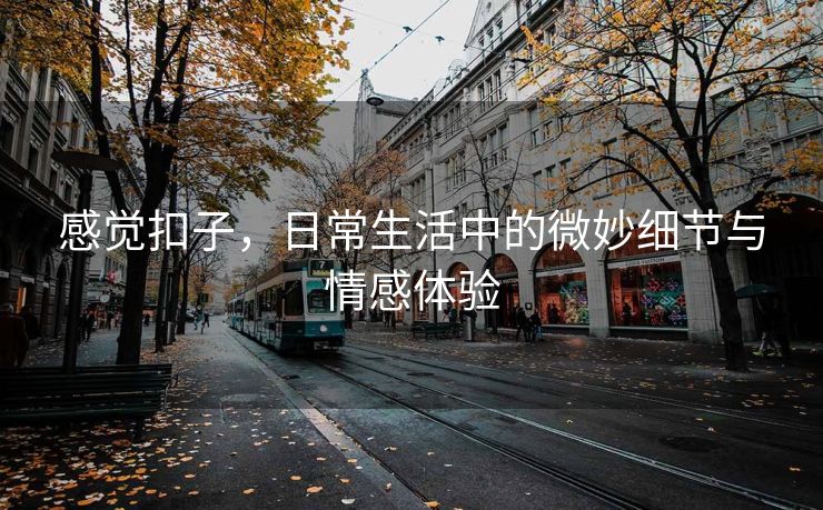 感觉扣子，日常生活中的微妙细节与情感体验