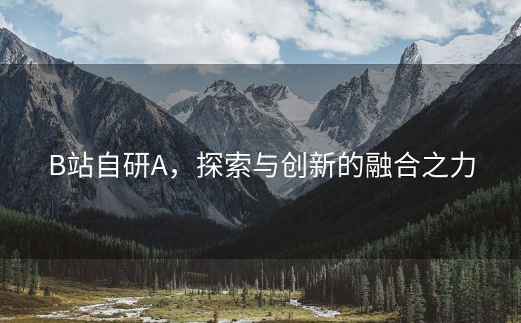 B站自研A，探索与创新的融合之力