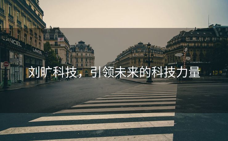 刘旷科技，引领未来的科技力量