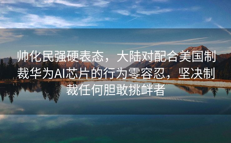 帅化民强硬表态，大陆对配合美国制裁华为AI芯片的行为零容忍，坚决制裁任何胆敢挑衅者