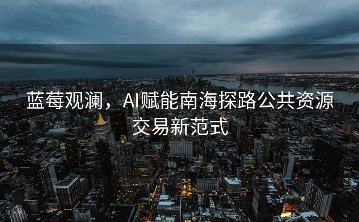 蓝莓观澜，AI赋能南海探路公共资源交易新范式