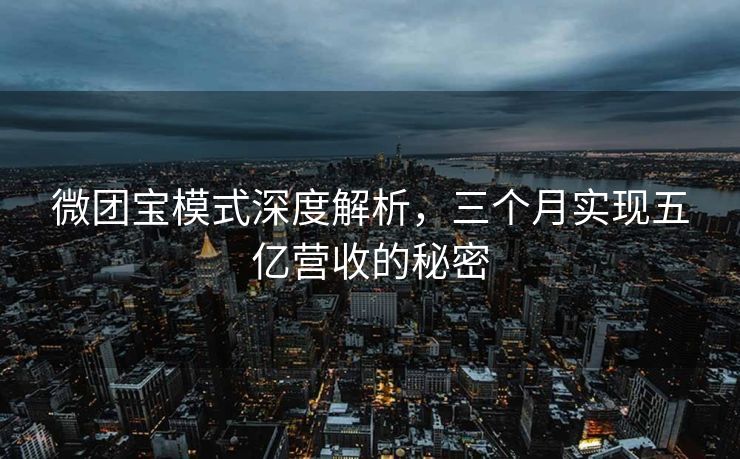 微团宝模式深度解析，三个月实现五亿营收的秘密