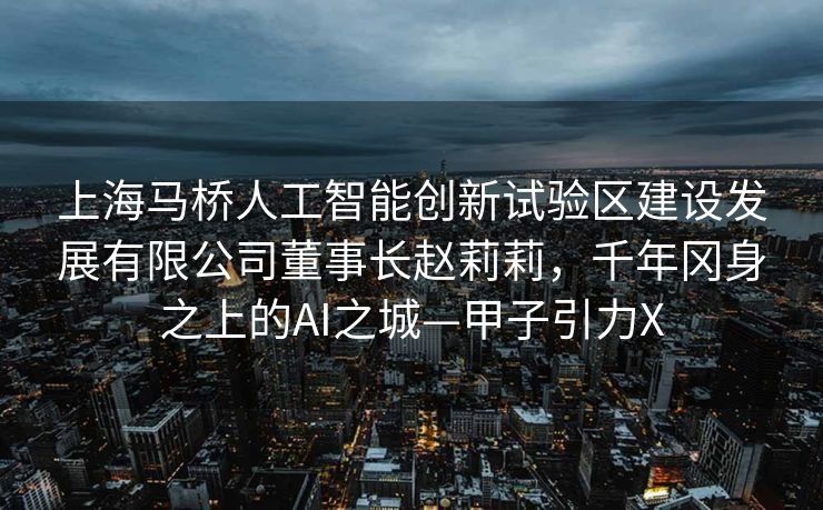 上海马桥人工智能创新试验区建设发展有限公司董事长赵莉莉，千年冈身之上的AI之城—甲子引力X