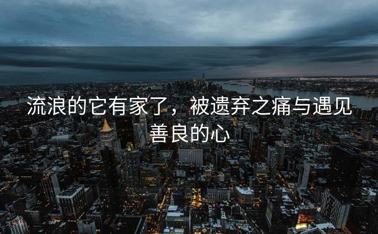 流浪的它有家了，被遗弃之痛与遇见善良的心
