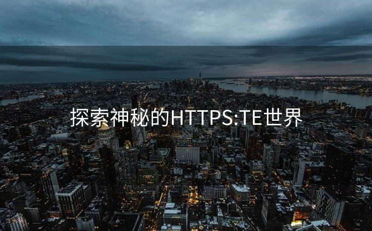 探索神秘的HTTPS:TE世界
