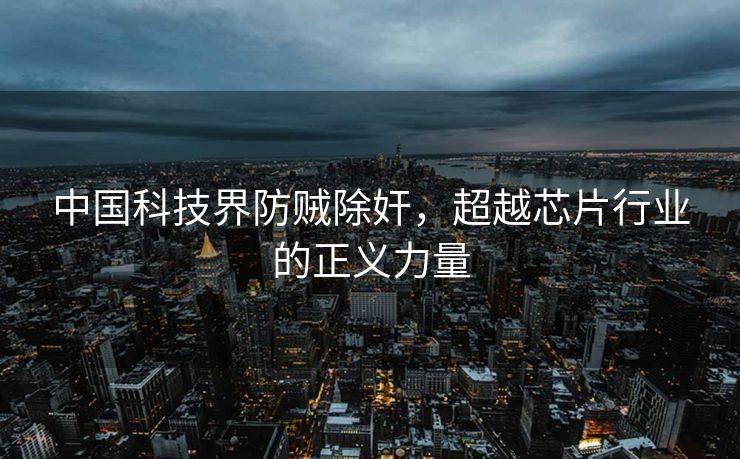 中国科技界防贼除奸，超越芯片行业的正义力量