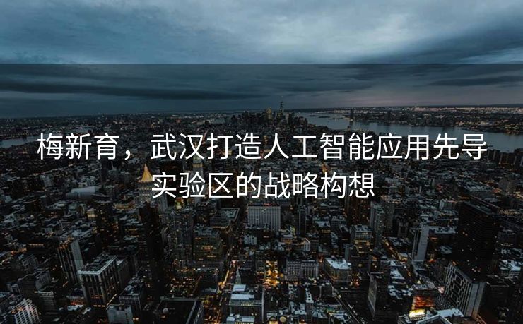 梅新育，武汉打造人工智能应用先导实验区的战略构想
