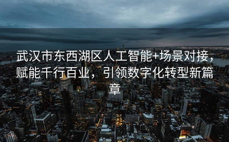 武汉市东西湖区人工智能+场景对接，赋能千行百业，引领数字化转型新篇章