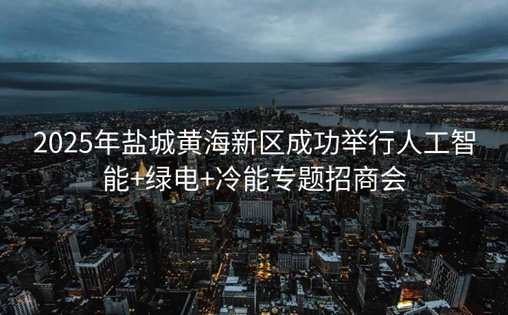 2025年盐城黄海新区成功举行人工智能+绿电+冷能专题招商会