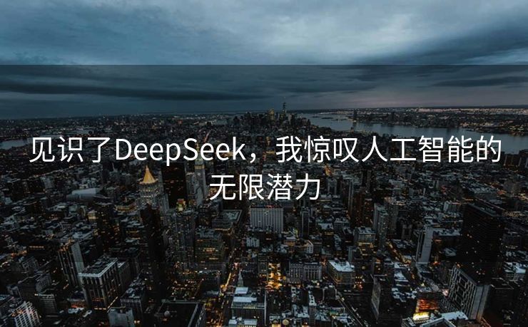见识了DeepSeek，我惊叹人工智能的无限潜力