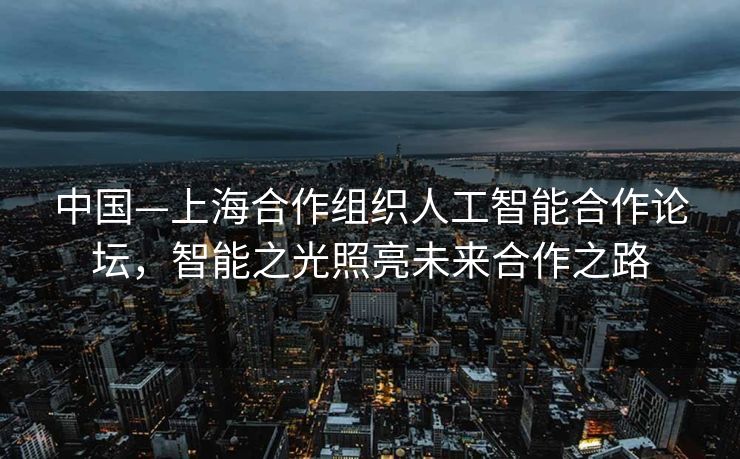 中国—上海合作组织人工智能合作论坛，智能之光照亮未来合作之路
