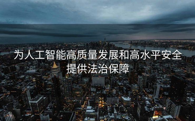为人工智能高质量发展和高水平安全提供法治保障