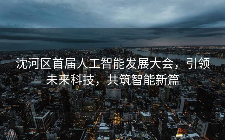 沈河区首届人工智能发展大会，引领未来科技，共筑智能新篇