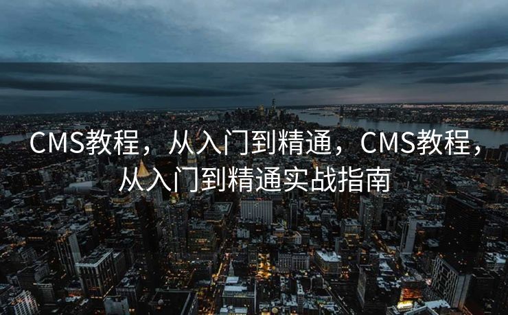 CMS教程，从入门到精通，CMS教程，从入门到精通实战指南