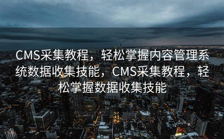 百度SEO公司，引领搜索引擎优化的先锋，百度SEO公司，领航搜索引擎优化，打造网络先锋
