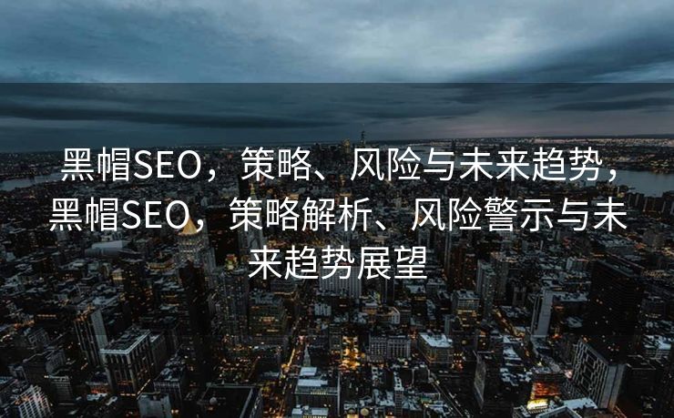 黑帽SEO，策略、风险与未来趋势，黑帽SEO，策略解析、风险警示与未来趋势展望