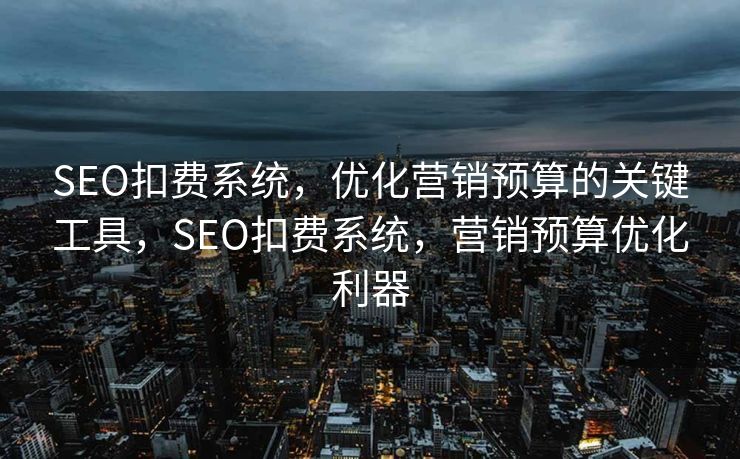 SEO扣费系统，优化营销预算的关键工具，SEO扣费系统，营销预算优化利器