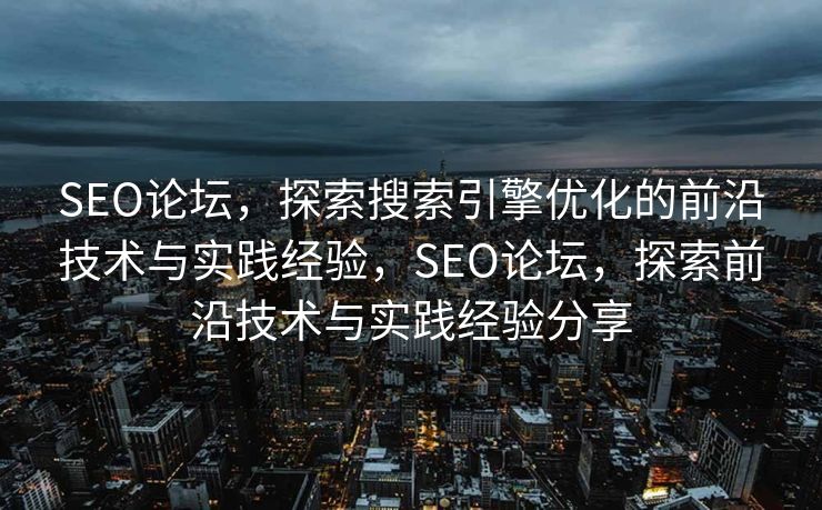 SEO论坛，探索搜索引擎优化的前沿技术与实践经验，SEO论坛，探索前沿技术与实践经验分享
