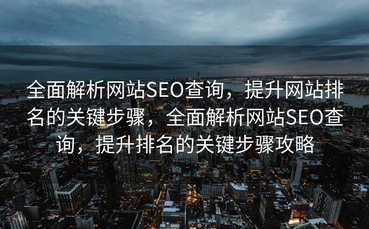 全面解析网站SEO查询，提升网站排名的关键步骤，全面解析网站SEO查询，提升排名的关键步骤攻略