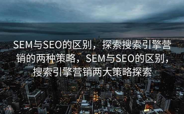 SEM与SEO的区别，探索搜索引擎营销的两种策略，SEM与SEO的区别，搜索引擎营销两大策略探索