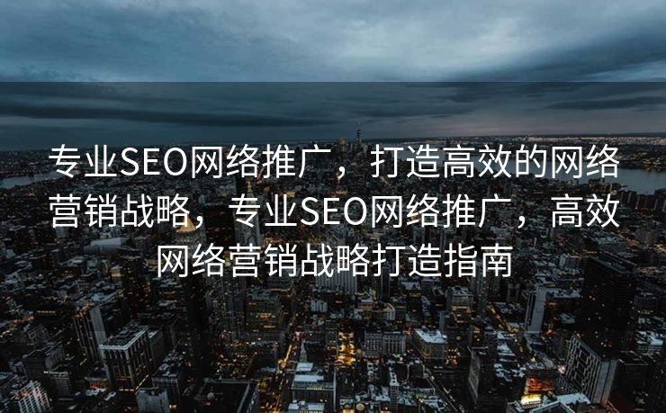 专业SEO网络推广，打造高效的网络营销战略，专业SEO网络推广，高效网络营销战略打造指南