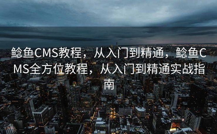 鲶鱼CMS教程，从入门到精通，鲶鱼CMS全方位教程，从入门到精通实战指南