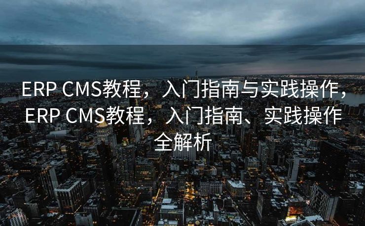 ERP CMS教程，入门指南与实践操作，ERP CMS教程，入门指南、实践操作全解析