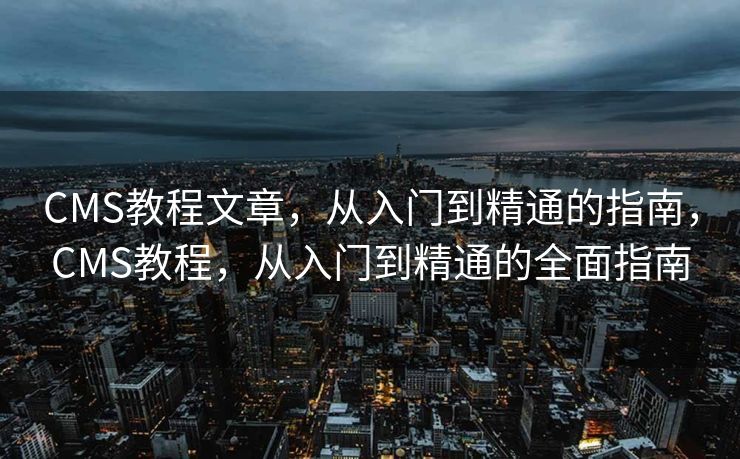 CMS教程文章，从入门到精通的指南，CMS教程，从入门到精通的全面指南