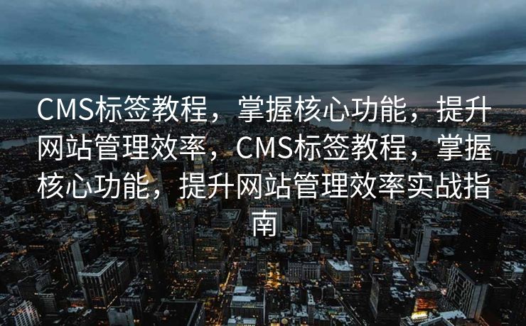 CMS标签教程，掌握核心功能，提升网站管理效率，CMS标签教程，掌握核心功能，提升网站管理效率实战指南