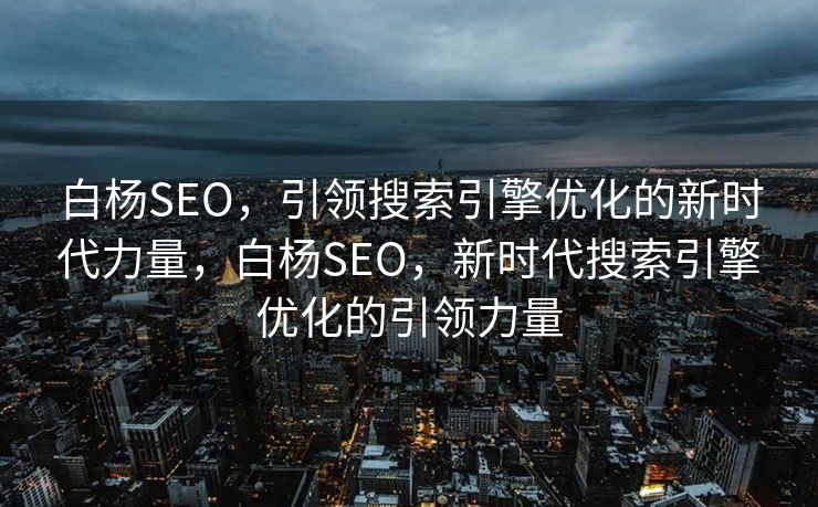 白杨SEO，引领搜索引擎优化的新时代力量，白杨SEO，新时代搜索引擎优化的引领力量