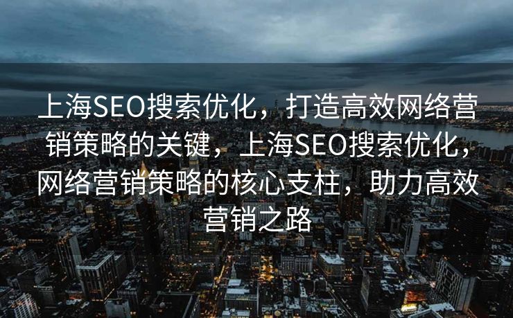上海SEO搜索优化，打造高效网络营销策略的关键，上海SEO搜索优化，网络营销策略的核心支柱，助力高效营销之路