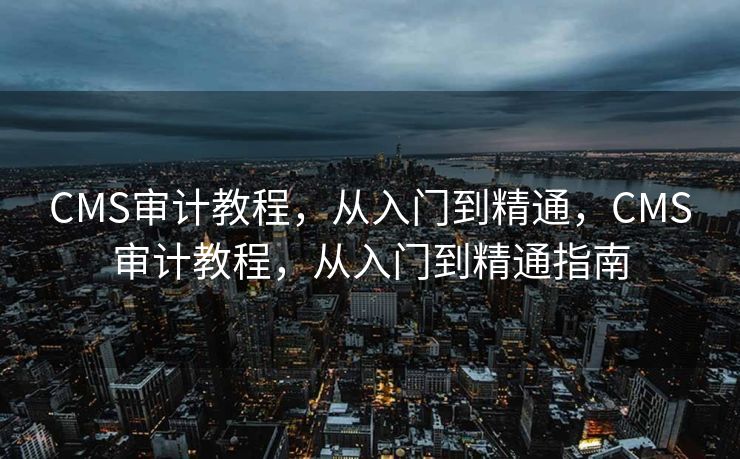 CMS审计教程，从入门到精通，CMS审计教程，从入门到精通指南