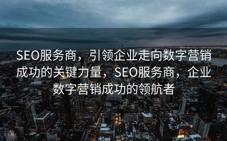 SEO服务商，引领企业走向数字营销成功的关键力量，SEO服务商，企业数字营销成功的领航者