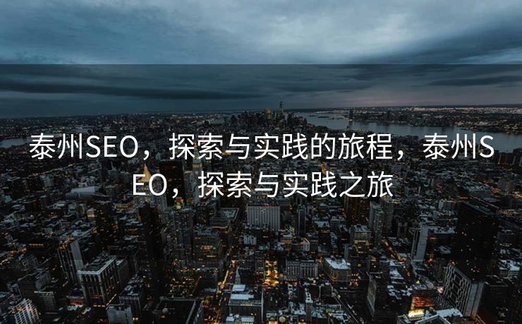 泰州SEO，探索与实践的旅程，泰州SEO，探索与实践之旅