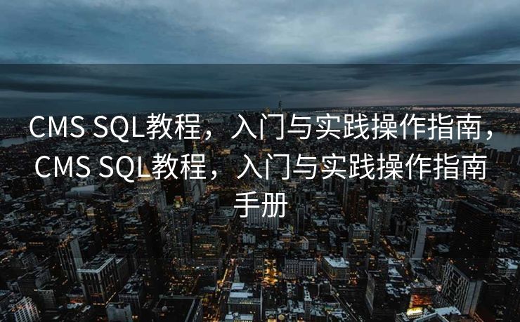 兰州SEO优化，探索与实践，兰州SEO优化，探索与实践之路