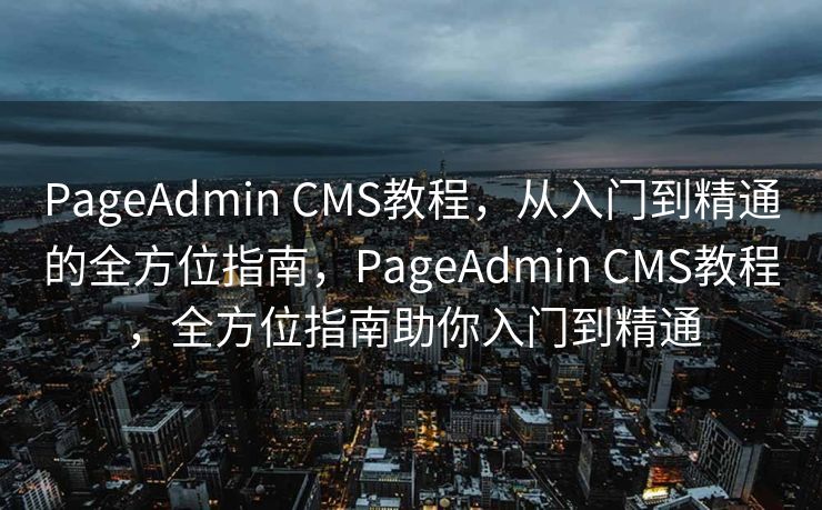 PageAdmin CMS教程，从入门到精通的全方位指南，PageAdmin CMS教程，全方位指南助你入门到精通