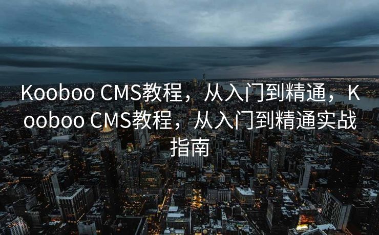 Kooboo CMS教程，从入门到精通，Kooboo CMS教程，从入门到精通实战指南