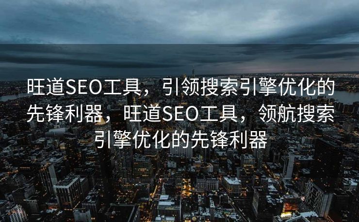 旺道SEO工具，引领搜索引擎优化的先锋利器，旺道SEO工具，领航搜索引擎优化的先锋利器