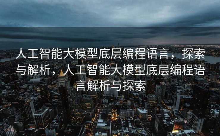 人工智能大模型底层编程语言，探索与解析，人工智能大模型底层编程语言解析与探索