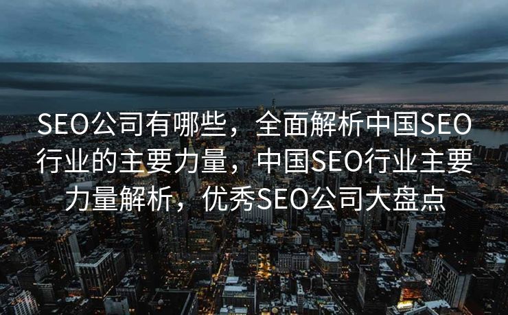 SEO公司有哪些，全面解析中国SEO行业的主要力量，中国SEO行业主要力量解析，优秀SEO公司大盘点