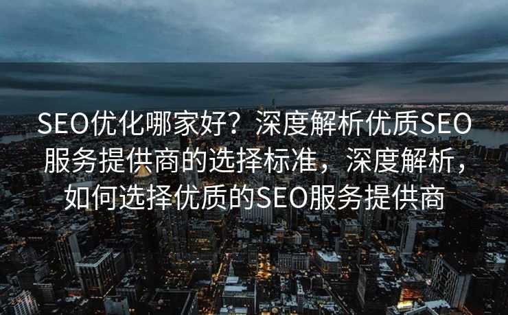 SEO优化哪家好？深度解析优质SEO服务提供商的选择标准，深度解析，如何选择优质的SEO服务提供商