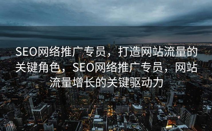 SEO网络推广专员，打造网站流量的关键角色，SEO网络推广专员，网站流量增长的关键驱动力