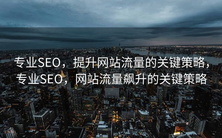 专业SEO，提升网站流量的关键策略，专业SEO，网站流量飙升的关键策略