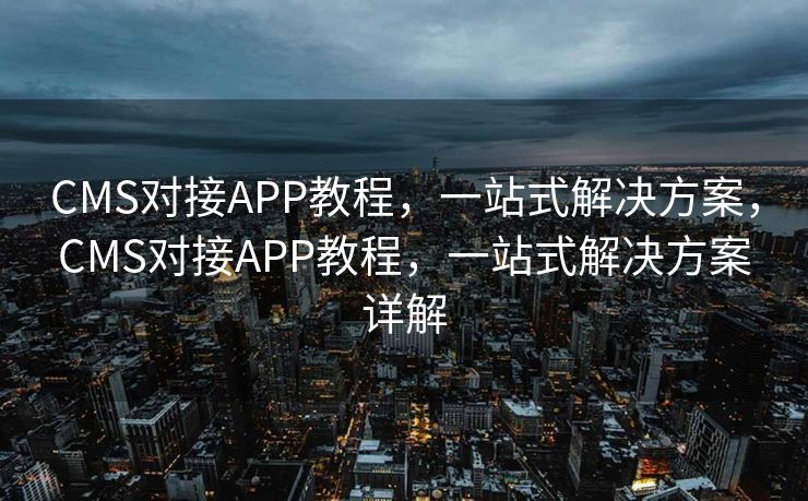 SEO推广网络，提升网站流量的关键策略，SEO推广网络，提升网站流量的核心策略