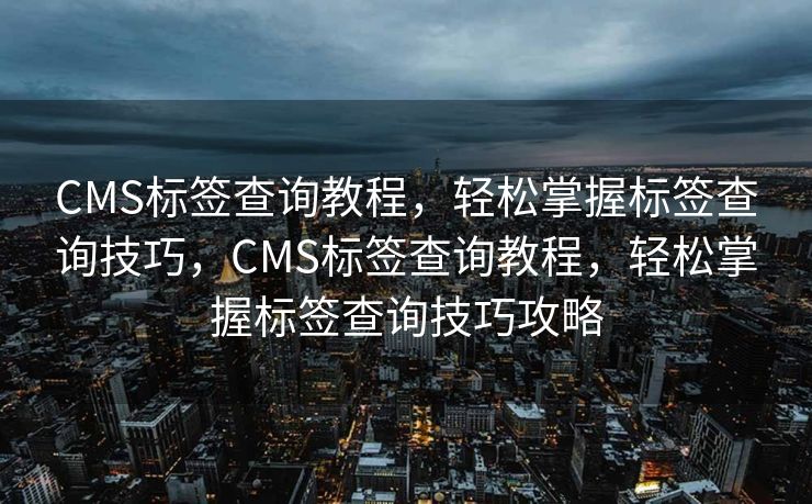 CMS标签查询教程，轻松掌握标签查询技巧，CMS标签查询教程，轻松掌握标签查询技巧攻略