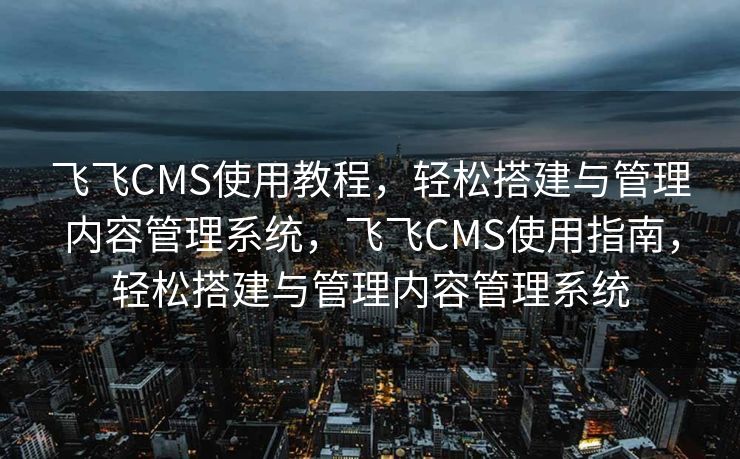 飞飞CMS使用教程，轻松搭建与管理内容管理系统，飞飞CMS使用指南，轻松搭建与管理内容管理系统