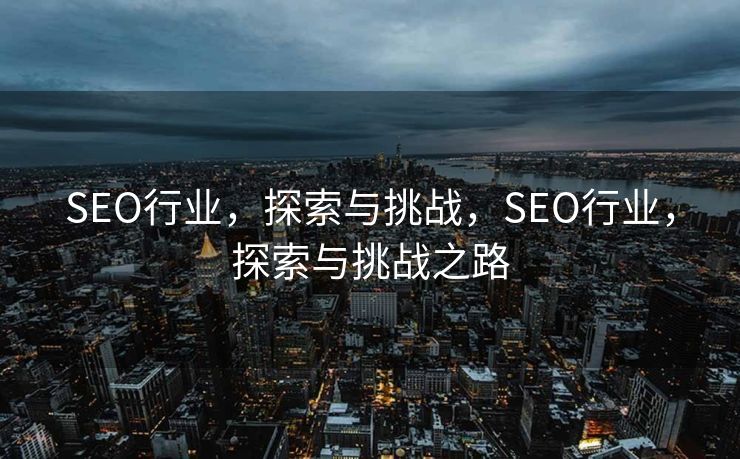 SEO行业，探索与挑战，SEO行业，探索与挑战之路