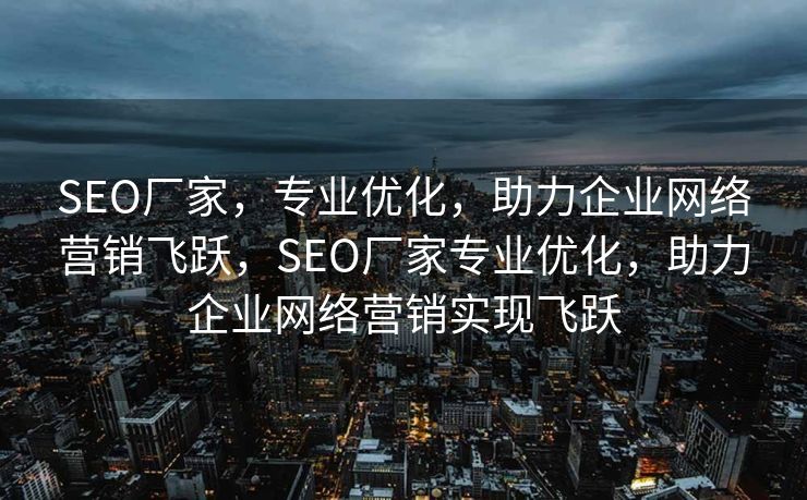 SEO厂家，专业优化，助力企业网络营销飞跃，SEO厂家专业优化，助力企业网络营销实现飞跃