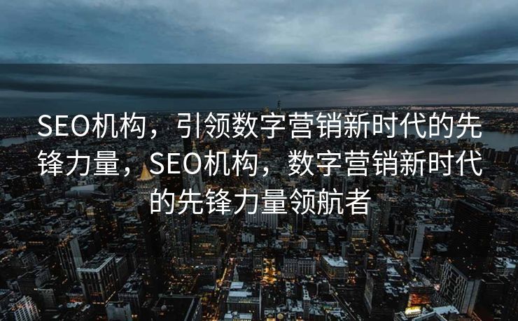SEO机构，引领数字营销新时代的先锋力量，SEO机构，数字营销新时代的先锋力量领航者