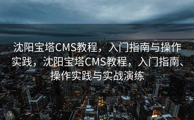 沈阳宝塔CMS教程，入门指南与操作实践，沈阳宝塔CMS教程，入门指南、操作实践与实战演练